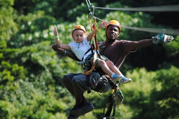 Island Tour, Zipline, Sloths & Beach Break - Imagen 8