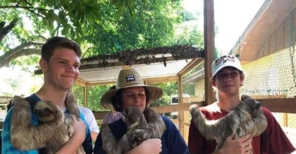 AJ's Sloths & Monkeys Hangout - Imagen 3