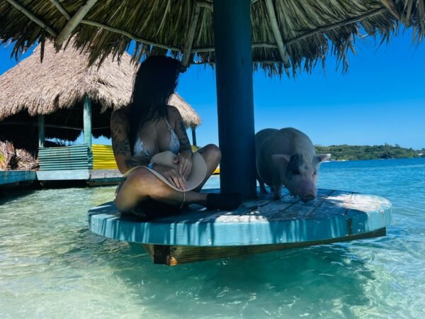 Little French Key Full Island Package - Imagen 4