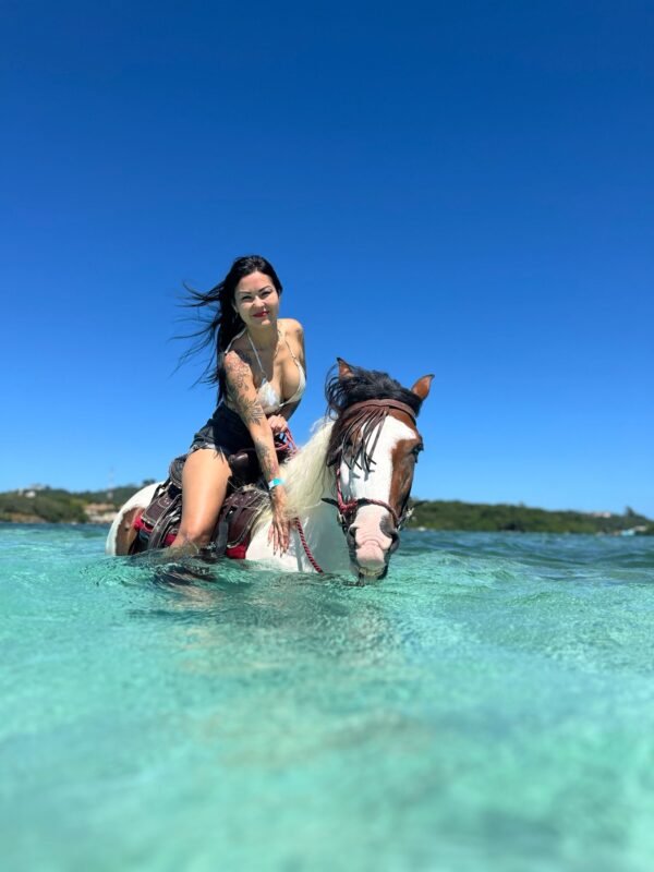 Little French Key Full Island Package