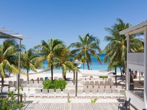Island Tour, Zipline, Sloths & Beach Break - Imagen 2